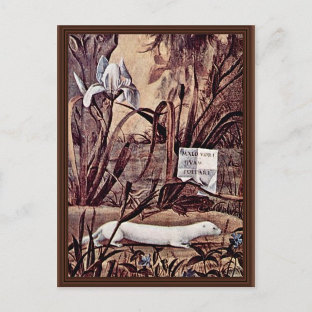 Portrait Of A Knight Details By Carpaccio Vittore Postcard (Front)