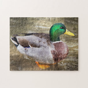 Portrait of a male mallard jigsaw puzzle