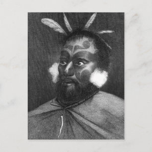 Portrait of a Man of New Zealand Postcard