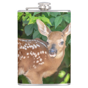 Portrait of a Newborn Fawn (white-tailed deer) Hip Flask