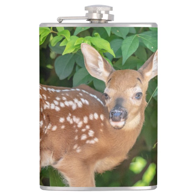 Portrait of a Newborn Fawn (white-tailed deer) Hip Flask (Front)