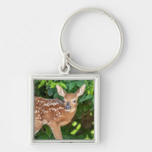Portrait of a Newborn Fawn (white-tailed deer) Keychain