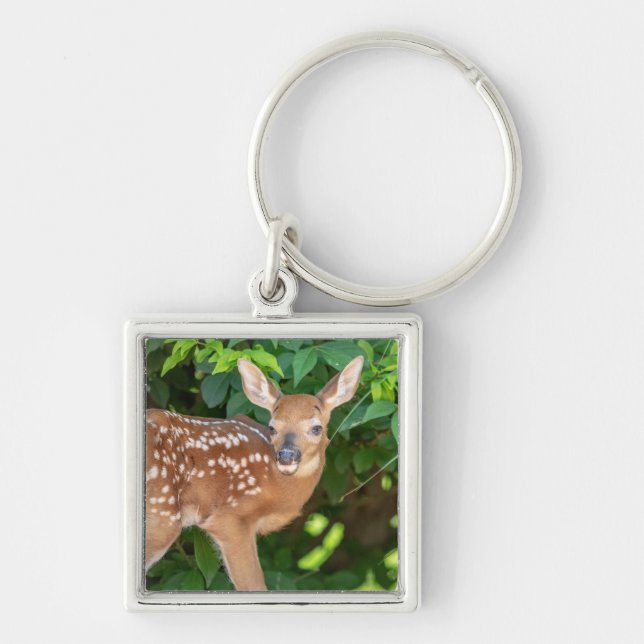 Portrait of a Newborn Fawn (white-tailed deer) Keychain (Front)