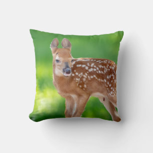 Portrait of a Newborn Fawn (white-tailed deer) Throw Pillow