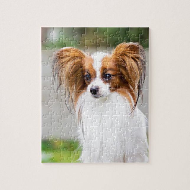 Portrait of a papillon dog jigsaw puzzle (Vertical)
