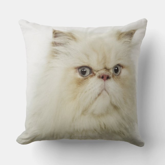 Portrait of a Persian cat Throw Pillow (Front)