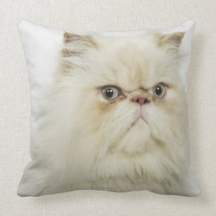 Portrait of a Persian cat Throw Pillow