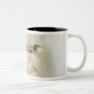 Portrait of a Persian cat Two-Tone Coffee Mug