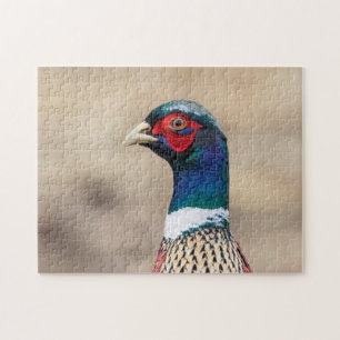 Portrait of a pheasant jigsaw puzzle