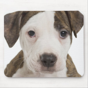 Portrait of a pitbull puppy mouse pad