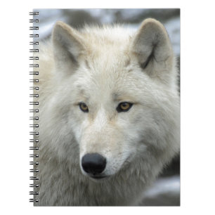 Portrait of a polar wolf notebook