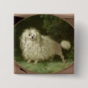 Portrait of a Poodle 2 Inch Square Button
