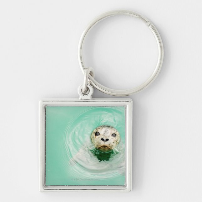 Portrait of a seal in water keychain (Front)