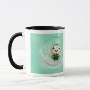 Portrait of a seal in water mug