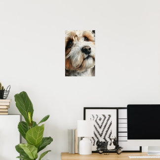 Portrait of a shih-doodle dog poster
