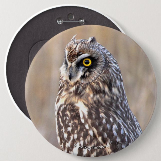 Portrait of a Short-Eared Owl 6 Inch Round Button (Front & Back)