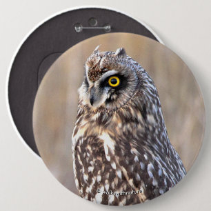 Portrait of a Short-Eared Owl 6 Inch Round Button