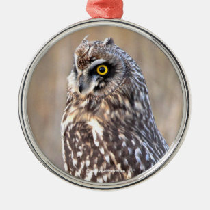 Portrait of a Short-Eared Owl in the Marshes Metal Ornament