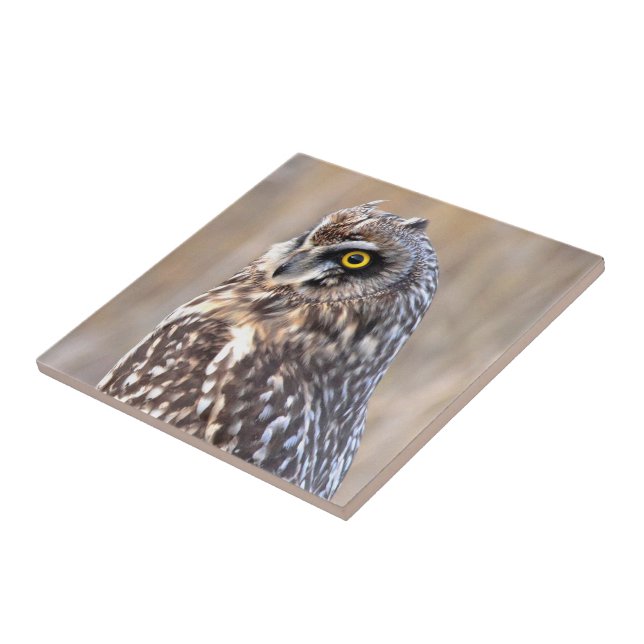 Portrait of a Short-Eared Owl in the Marshes Tile (Side)