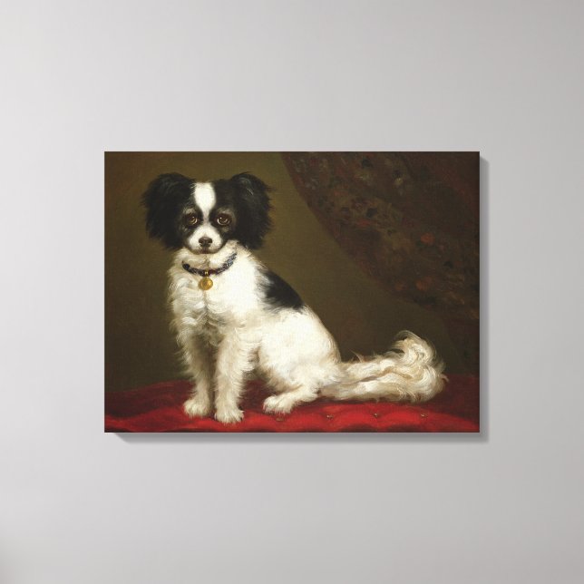 Portrait of a Spaniel Canvas Print (Front)