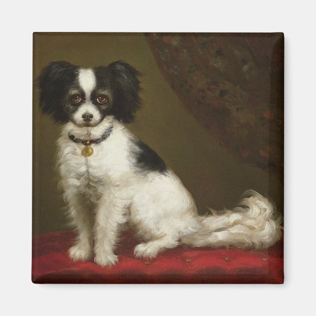 Portrait of a Spaniel Magnet (Front)