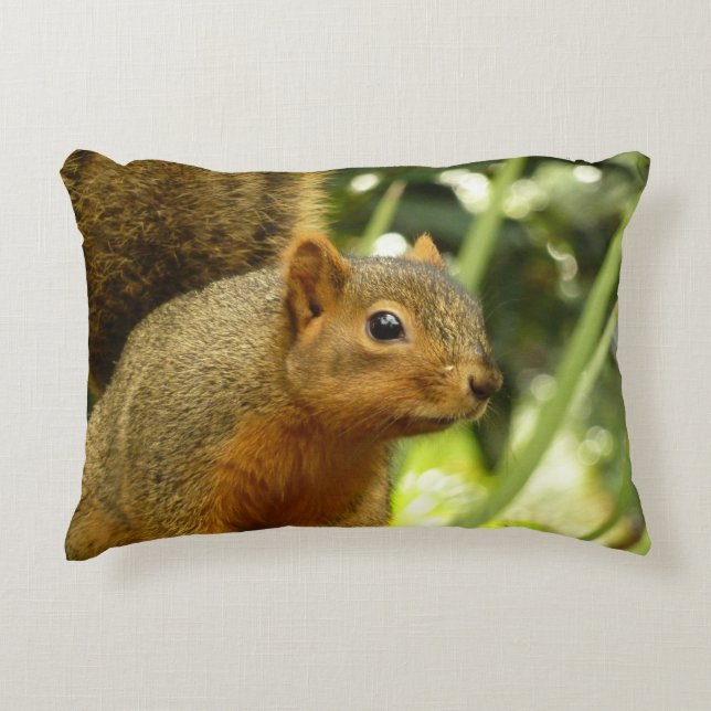 Portrait of a Squirrel Nature Animal Photography Decorative Pillow (Front)