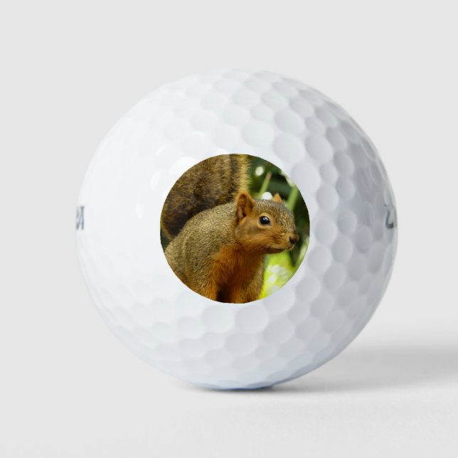Portrait of a Squirrel Nature Animal Photography Golf Balls (Front)