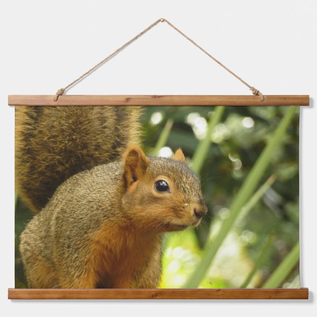 Portrait of a Squirrel Nature Animal Photography Hanging Tapestry (Front)