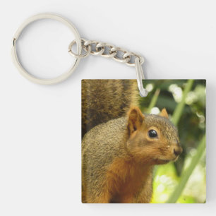 Portrait of a Squirrel Nature Animal Photography Keychain