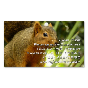 Portrait of a Squirrel Nature Animal Photography Magnetic Business Card