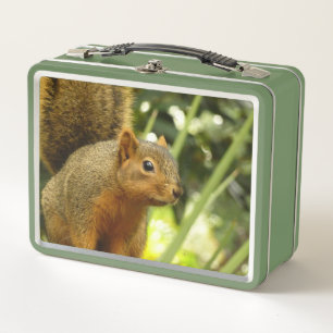 Portrait of a Squirrel Nature Animal Photography Metal Lunch Box