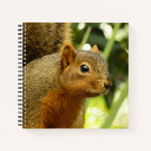 Portrait of a Squirrel Nature Animal Photography Notebook