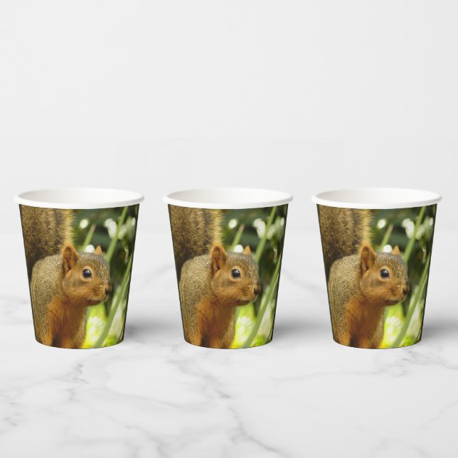 Portrait of a Squirrel Nature Animal Photography Paper Cups (Multi)