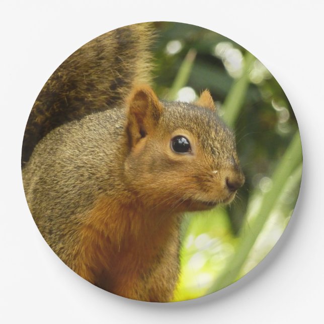 Portrait of a Squirrel Nature Animal Photography Paper Plate (Front)