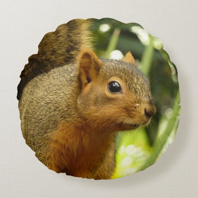 Portrait of a Squirrel Nature Animal Photography Round Pillow (Front)