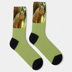 Portrait of a Squirrel Nature Animal Photography Socks
