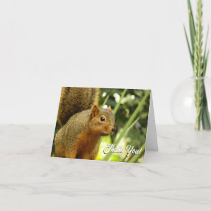 Portrait of a Squirrel Nature Animal Photography Thank You Card