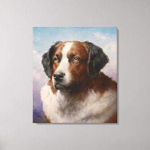 Portrait Of A St. Bernhard Dog Canvas Print
