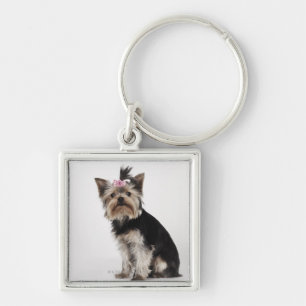 Portrait of a Yorkshire Terrier dog Keychain
