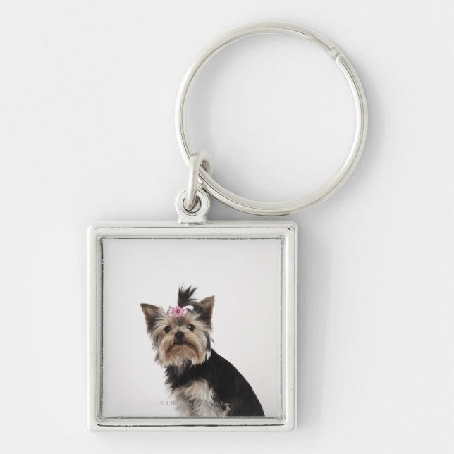 Portrait of a Yorkshire Terrier dog Keychain (Front)