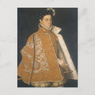 Portrait of a Young Man by Sofonisba Anguissola Po Postcard
