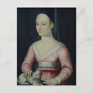 Portrait of Agnes Sorel Postcard