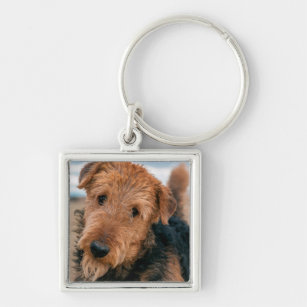 Portrait of an Airedale Terrier 2 Keychain