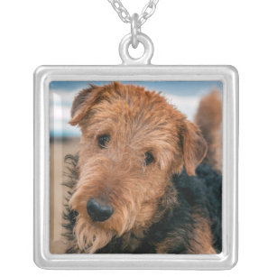 Portrait of an Airedale Terrier 2 Silver Plated Necklace