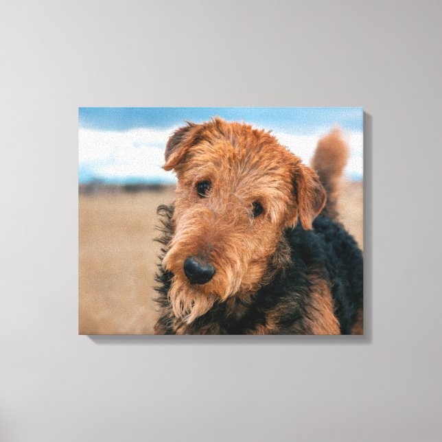 Portrait of an Airedale Terrier Canvas Print (Front)
