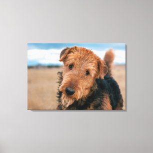Portrait of an Airedale Terrier Canvas Print