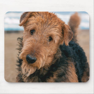 Portrait of an Airedale Terrier Mouse Pad