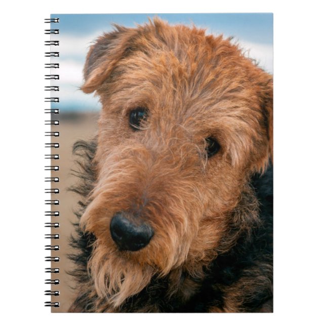 Portrait of an Airedale Terrier Notebook (Front)