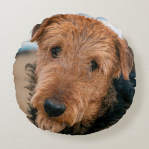 Portrait of an Airedale Terrier Round Pillow