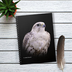 Portrait of an Inquisitive Saker Falcon Notebook
